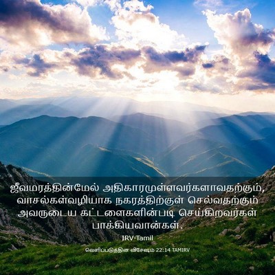 Picture 03 - வெளிப்படுத்தின விசேஷம் 22:14 TAMIRV - ஜீவமரத்தின்மேல் - Bible Verse Picture