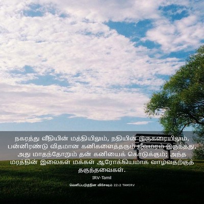 Picture 03 - வெளிப்படுத்தின விசேஷம் 22:2 TAMIRV - நகரத்து வீதியின் - Bible Verse Picture