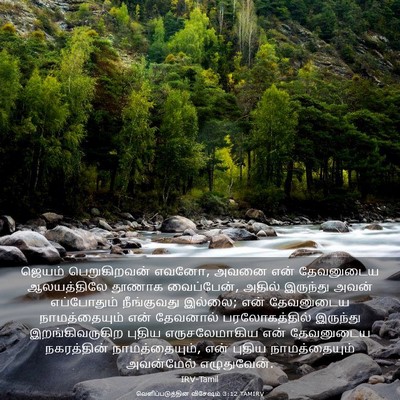 Picture 03 - வெளிப்படுத்தின விசேஷம் 3:12 TAMIRV - ஜெயம் பெறுகிறவன் - Bible Verse Picture
