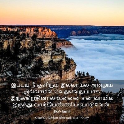 Picture 03 - வெளிப்படுத்தின விசேஷம் 3:16 TAMIRV - இப்படி நீ - Bible Verse Picture