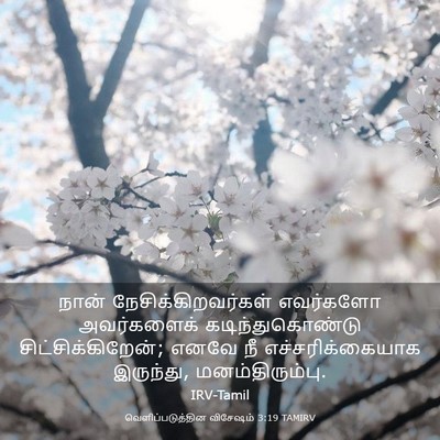 Picture 03 - வெளிப்படுத்தின விசேஷம் 3:19 TAMIRV - நான் - Bible Verse Picture