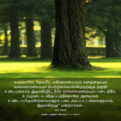 Picture 03 - வெளிப்படுத்தின விசேஷம் 4:11 TAMIRV - கர்த்தாவே, - Bible Verse Picture