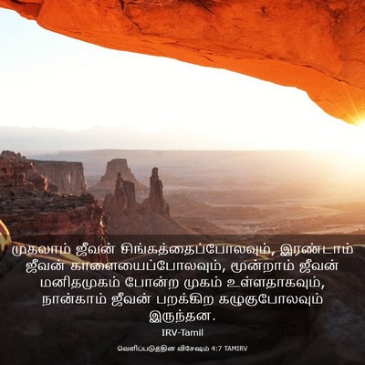Picture 03 - வெளிப்படுத்தின விசேஷம் 4:7 TAMIRV - முதலாம் ஜீவன் - Bible Verse Picture