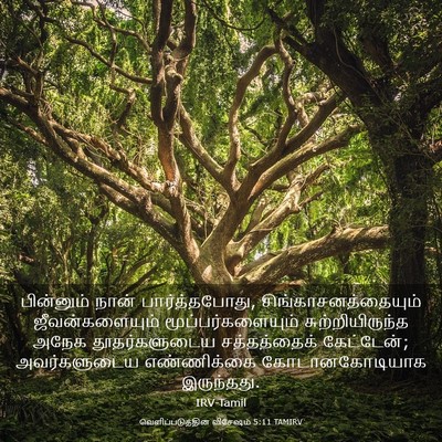 Picture 03 - வெளிப்படுத்தின விசேஷம் 5:11 TAMIRV - பின்னும் நான் - Bible Verse Picture