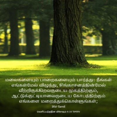 Picture 03 - வெளிப்படுத்தின விசேஷம் 6:16 TAMIRV - மலைகளையும் - Bible Verse Picture