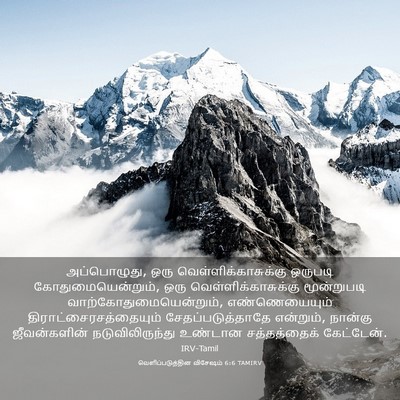 Picture 03 - வெளிப்படுத்தின விசேஷம் 6:6 TAMIRV - அப்பொழுது, ஒரு - Bible Verse Picture