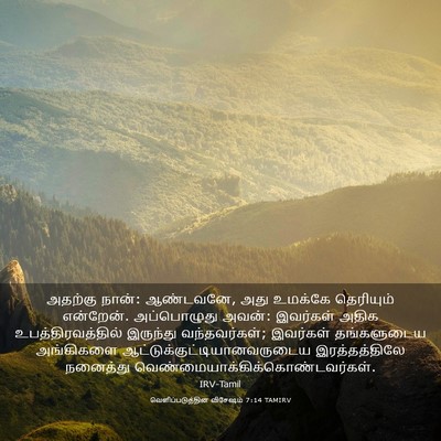 Picture 03 - வெளிப்படுத்தின விசேஷம் 7:14 TAMIRV - அதற்கு நான்: - Bible Verse Picture