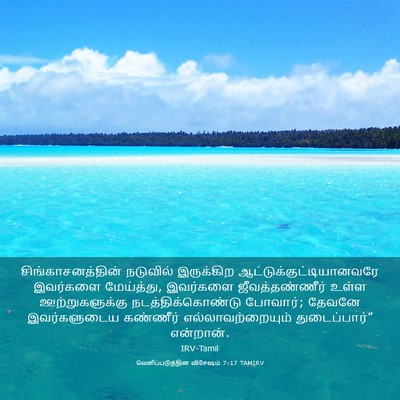 Picture 03 - வெளிப்படுத்தின விசேஷம் 7:17 TAMIRV - சிங்காசனத்தின் - Bible Verse Picture