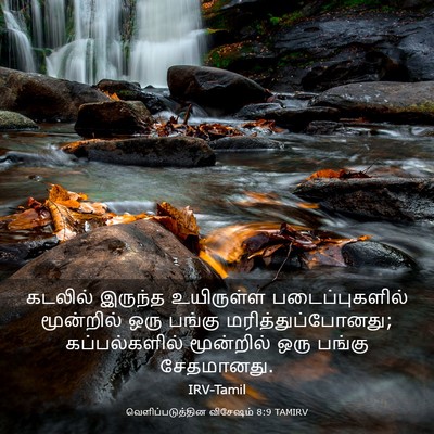 Picture 03 - வெளிப்படுத்தின விசேஷம் 8:9 TAMIRV - கடலில் இருந்த - Bible Verse Picture