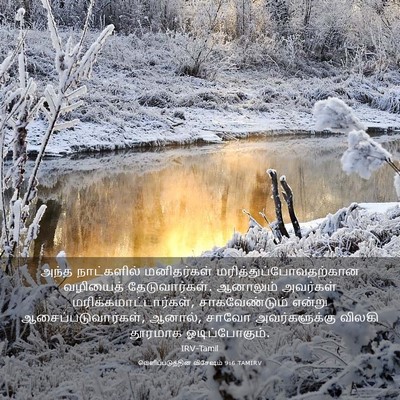 Picture 03 - வெளிப்படுத்தின விசேஷம் 9:6 TAMIRV - அந்த நாட்களில் - Bible Verse Picture