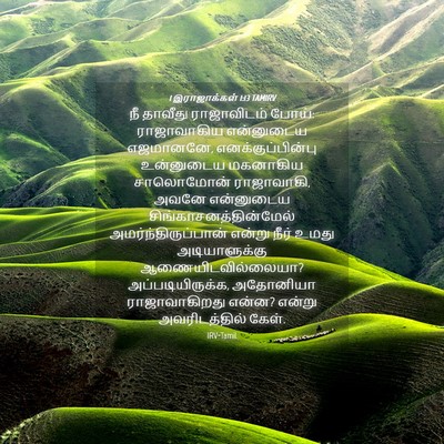 Picture 04 - 1 இராஜாக்கள் 1:13 TAMIRV - நீ தாவீது - Bible Verse Picture