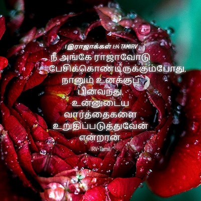 Picture 04 - 1 இராஜாக்கள் 1:14 TAMIRV - நீ அங்கே ராஜாவோடு - Bible Verse Picture
