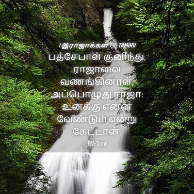 Picture 04 - 1 இராஜாக்கள் 1:16 TAMIRV - பத்சேபாள் - Bible Verse Picture