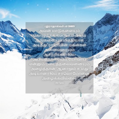 Picture 04 - 1 இராஜாக்கள் 1:19 TAMIRV - அவன் மாடுகளையும் - Bible Verse Picture