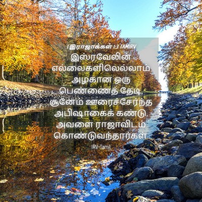 Picture 04 - 1 இராஜாக்கள் 1:3 TAMIRV - இஸ்ரவேலின் - Bible Verse Picture