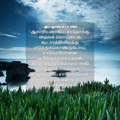 Picture 04 - 1 இராஜாக்கள் 1:39 TAMIRV - ஆசாரியனாகிய - Bible Verse Picture