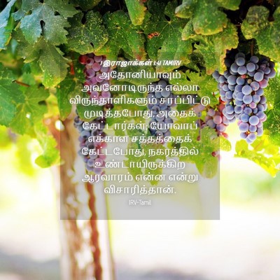 Picture 04 - 1 இராஜாக்கள் 1:41 TAMIRV - அதோனியாவும் - Bible Verse Picture