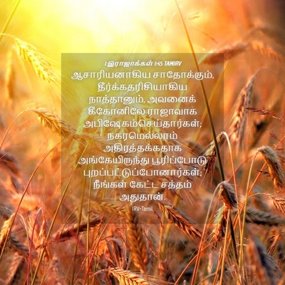 Picture 04 - 1 இராஜாக்கள் 1:45 TAMIRV - ஆசாரியனாகிய - Bible Verse Picture