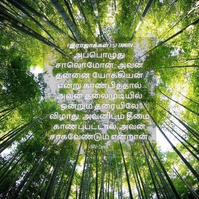 Picture 04 - 1 இராஜாக்கள் 1:52 TAMIRV - அப்பொழுது - Bible Verse Picture