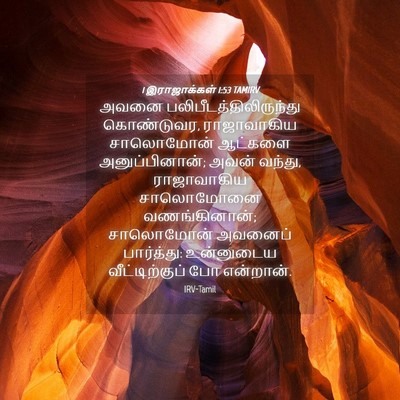 Picture 04 - 1 இராஜாக்கள் 1:53 TAMIRV - அவனை - Bible Verse Picture