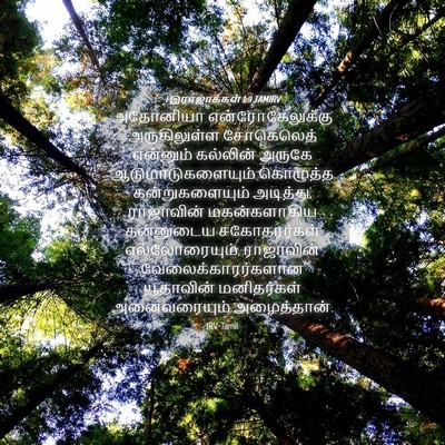 Picture 04 - 1 இராஜாக்கள் 1:9 TAMIRV - அதோனியா - Bible Verse Picture