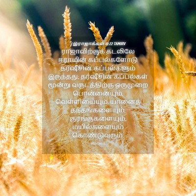 Picture 04 - 1 இராஜாக்கள் 10:22 TAMIRV - ராஜாவிற்குக் - Bible Verse Picture