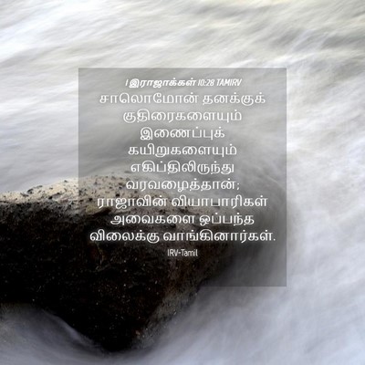 Picture 04 - 1 இராஜாக்கள் 10:28 TAMIRV - சாலொமோன் தனக்குக் - Bible Verse Picture