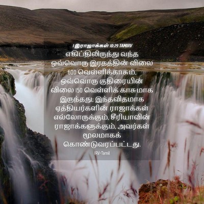 Picture 04 - 1 இராஜாக்கள் 10:29 TAMIRV - எகிப்திலிருந்து - Bible Verse Picture
