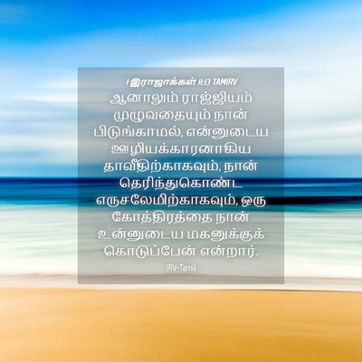 Picture 04 - 1 இராஜாக்கள் 11:13 TAMIRV - ஆனாலும் ராஜ்ஜியம் - Bible Verse Picture