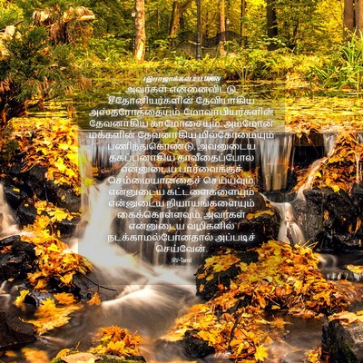 Picture 04 - 1 இராஜாக்கள் 11:33 TAMIRV - அவர்கள் - Bible Verse Picture
