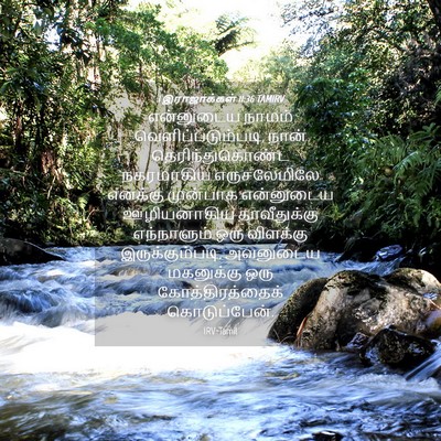Picture 04 - 1 இராஜாக்கள் 11:36 TAMIRV - என்னுடைய நாமம் - Bible Verse Picture