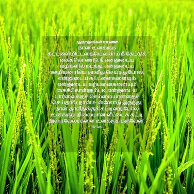 Picture 04 - 1 இராஜாக்கள் 11:38 TAMIRV - நான் உனக்குக் - Bible Verse Picture