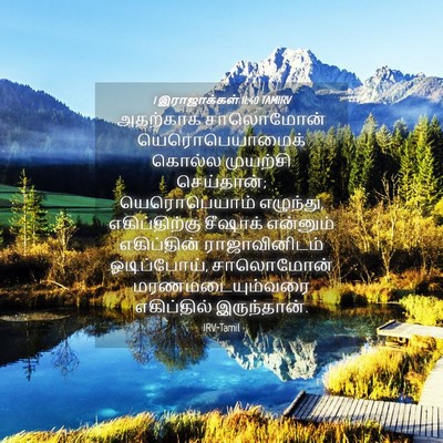 Picture 04 - 1 இராஜாக்கள் 11:40 TAMIRV - அதற்காக சாலொமோன் - Bible Verse Picture