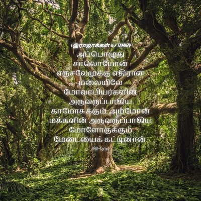 Picture 04 - 1 இராஜாக்கள் 11:7 TAMIRV - அப்பொழுது - Bible Verse Picture
