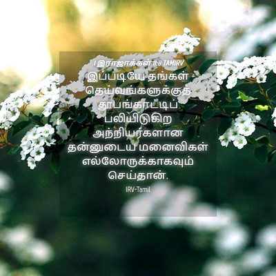 Picture 04 - 1 இராஜாக்கள் 11:8 TAMIRV - இப்படியே தங்கள் - Bible Verse Picture