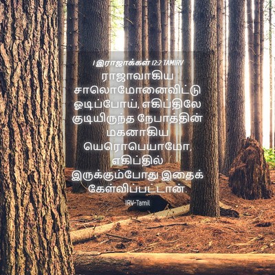 Picture 04 - 1 இராஜாக்கள் 12:2 TAMIRV - ராஜாவாகிய - Bible Verse Picture