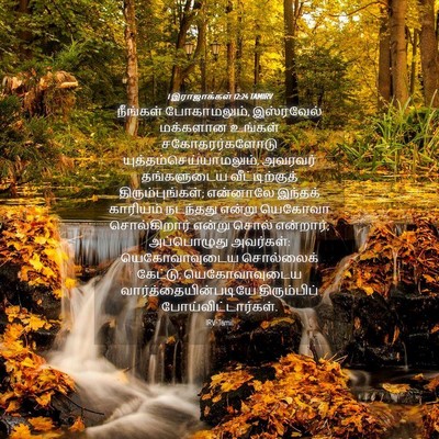 Picture 04 - 1 இராஜாக்கள் 12:24 TAMIRV - நீங்கள் - Bible Verse Picture