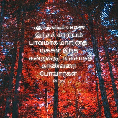 Picture 04 - 1 இராஜாக்கள் 12:30 TAMIRV - இந்தக் காரியம் - Bible Verse Picture