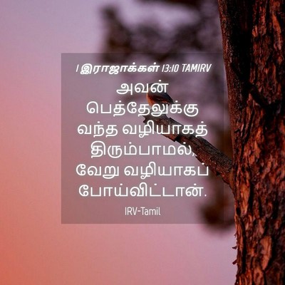 Picture 04 - 1 இராஜாக்கள் 13:10 TAMIRV - அவன் பெத்தேலுக்கு - Bible Verse Picture