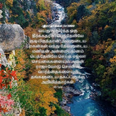 Picture 04 - 1 இராஜாக்கள் 13:11 TAMIRV - வயது முதிர்ந்த - Bible Verse Picture
