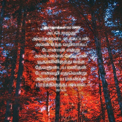 Picture 04 - 1 இராஜாக்கள் 13:12 TAMIRV - அப்பொழுது - Bible Verse Picture