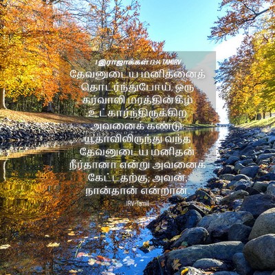 Picture 04 - 1 இராஜாக்கள் 13:14 TAMIRV - தேவனுடைய மனிதனைத் - Bible Verse Picture