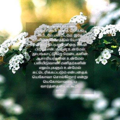 Picture 04 - 1 இராஜாக்கள் 13:2 TAMIRV - அந்த பலிபீடத்தை - Bible Verse Picture