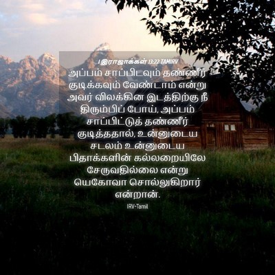 Picture 04 - 1 இராஜாக்கள் 13:22 TAMIRV - அப்பம் - Bible Verse Picture