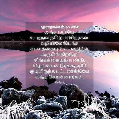 Picture 04 - 1 இராஜாக்கள் 13:25 TAMIRV - அந்த வழியே - Bible Verse Picture