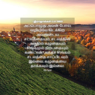 Picture 04 - 1 இராஜாக்கள் 13:28 TAMIRV - அப்பொழுது அவன் - Bible Verse Picture