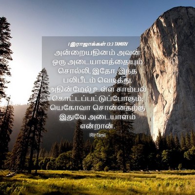 Picture 04 - 1 இராஜாக்கள் 13:3 TAMIRV - அன்றையதினம் அவன் - Bible Verse Picture