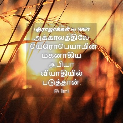 Picture 04 - 1 இராஜாக்கள் 14:1 TAMIRV - அக்காலத்திலே - Bible Verse Picture