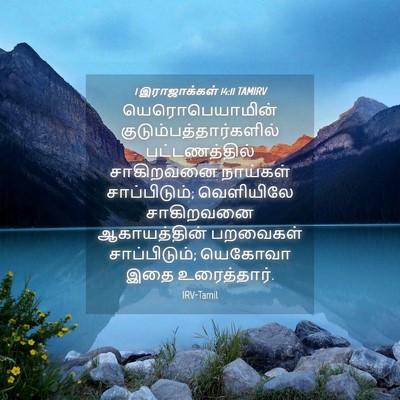Picture 04 - 1 இராஜாக்கள் 14:11 TAMIRV - யெரொபெயாமின் - Bible Verse Picture