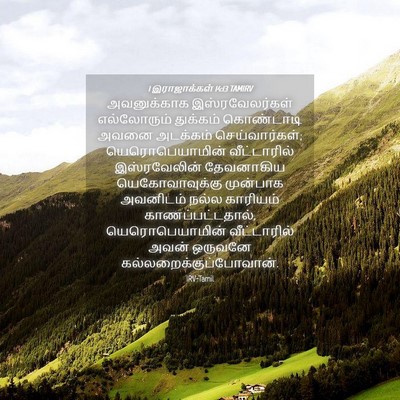 Picture 04 - 1 இராஜாக்கள் 14:13 TAMIRV - அவனுக்காக - Bible Verse Picture